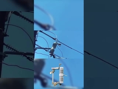 Fuente de alta calidad cortada 40.5 kv polímero o cerámica de caída de la fuente de escape